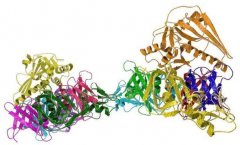 <strong>蛋白质组潜在新药的“富矿”天辰</strong>