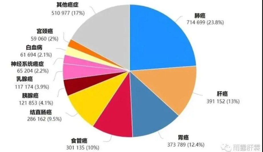 吃素可使白血病等癌症发病率降50%天辰注册