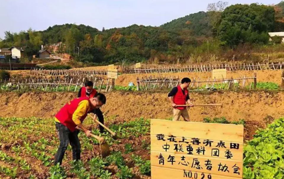 湖南长沙：现实版“开心农场”受广泛人青睐天辰注册