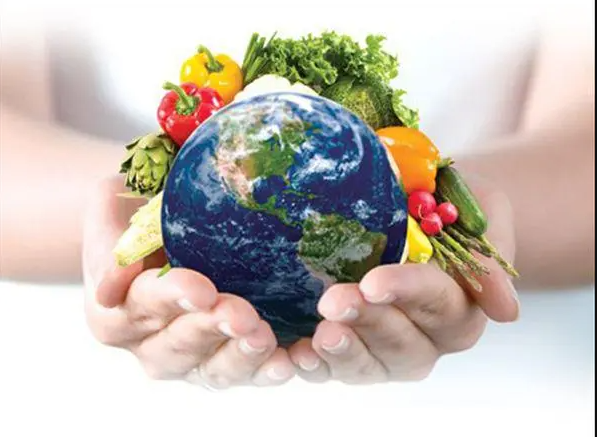 改革农业、倡导素食和限制化石燃料应是最优先环保议题天辰注册