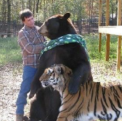 美动物救助中心：狮子老虎和黑熊成了好朋友天辰注册
